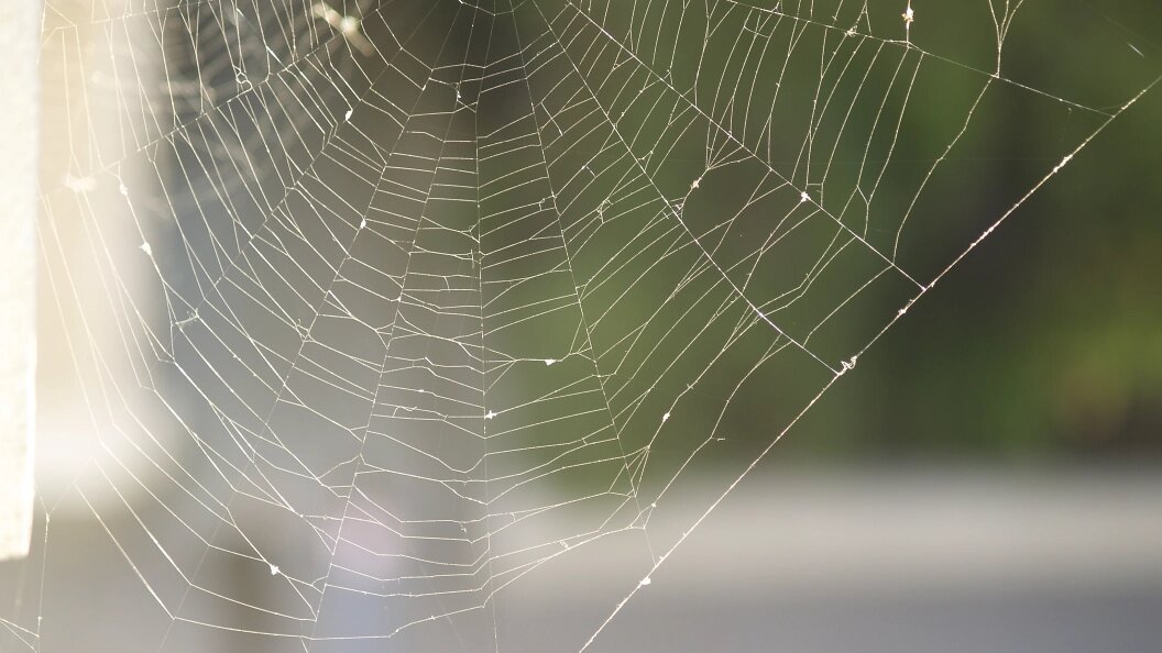    Alexander Legky/Globallookpress