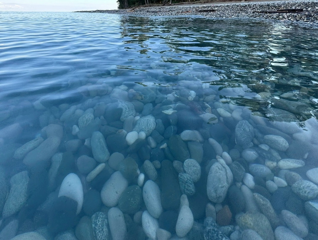море в поселке Цандрипш Абхазия