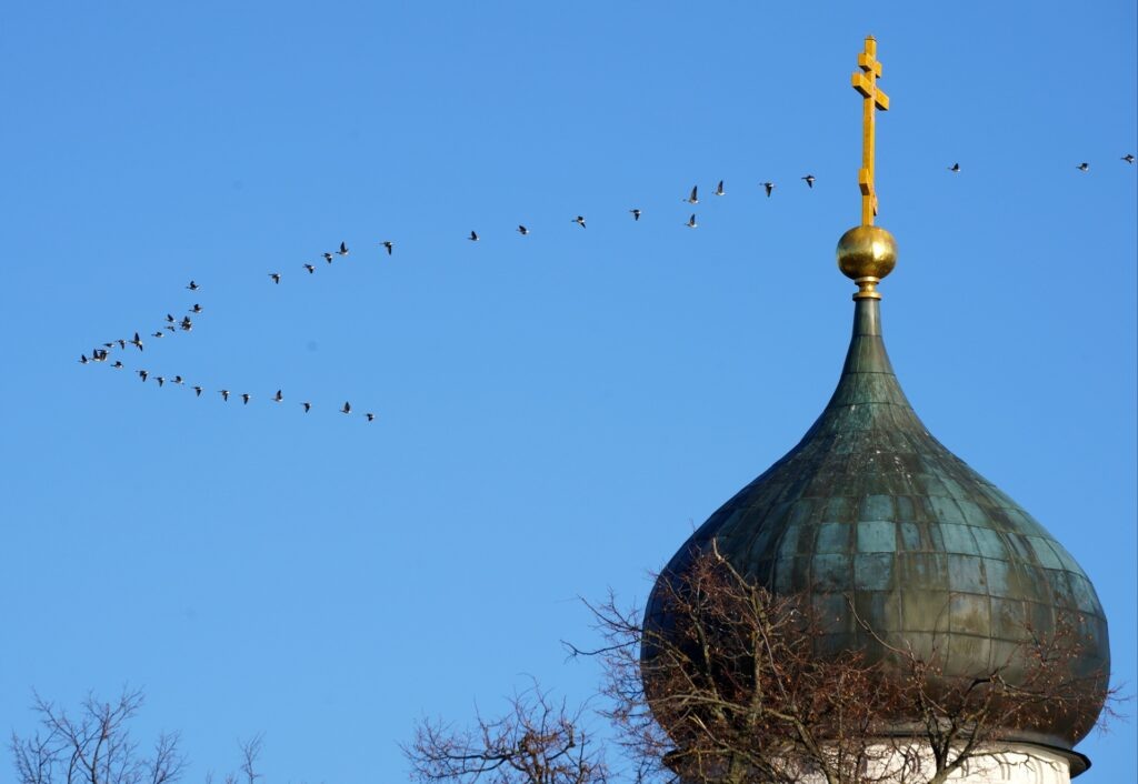    Владимир Смирнов/ТАСС