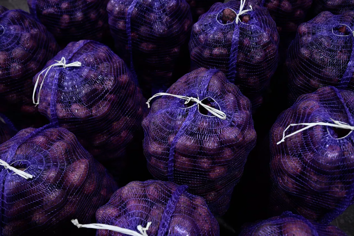    Фото: Павел Лисицын, источник: ria.ru