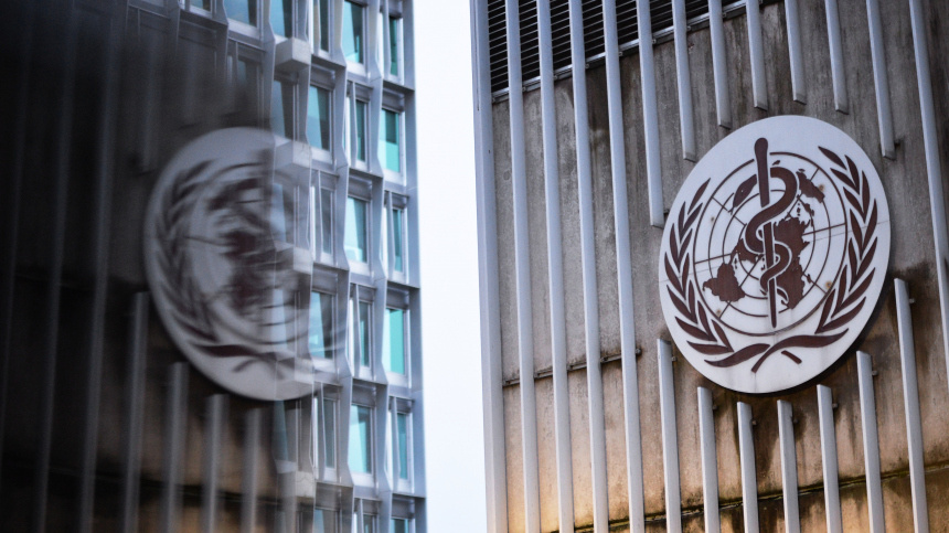    Фото: © РИА Новости/Алексей Витвицкий