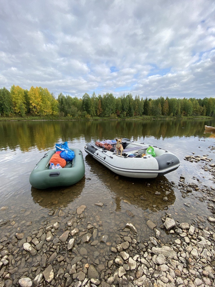 Это и правда только начало...71 квартал, мы на старте... но обо всем по-порядку