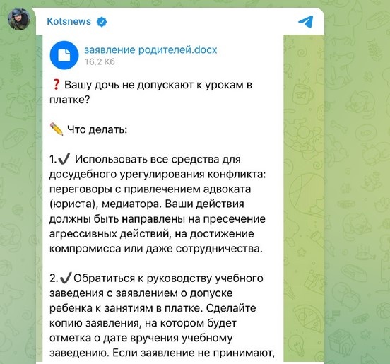   Скриншот: Telegram/Kotsnews