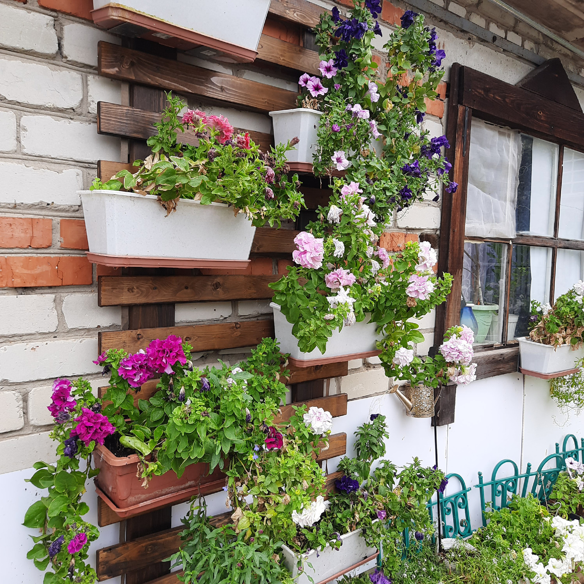 Фото от 19.09.2025, неплохо))