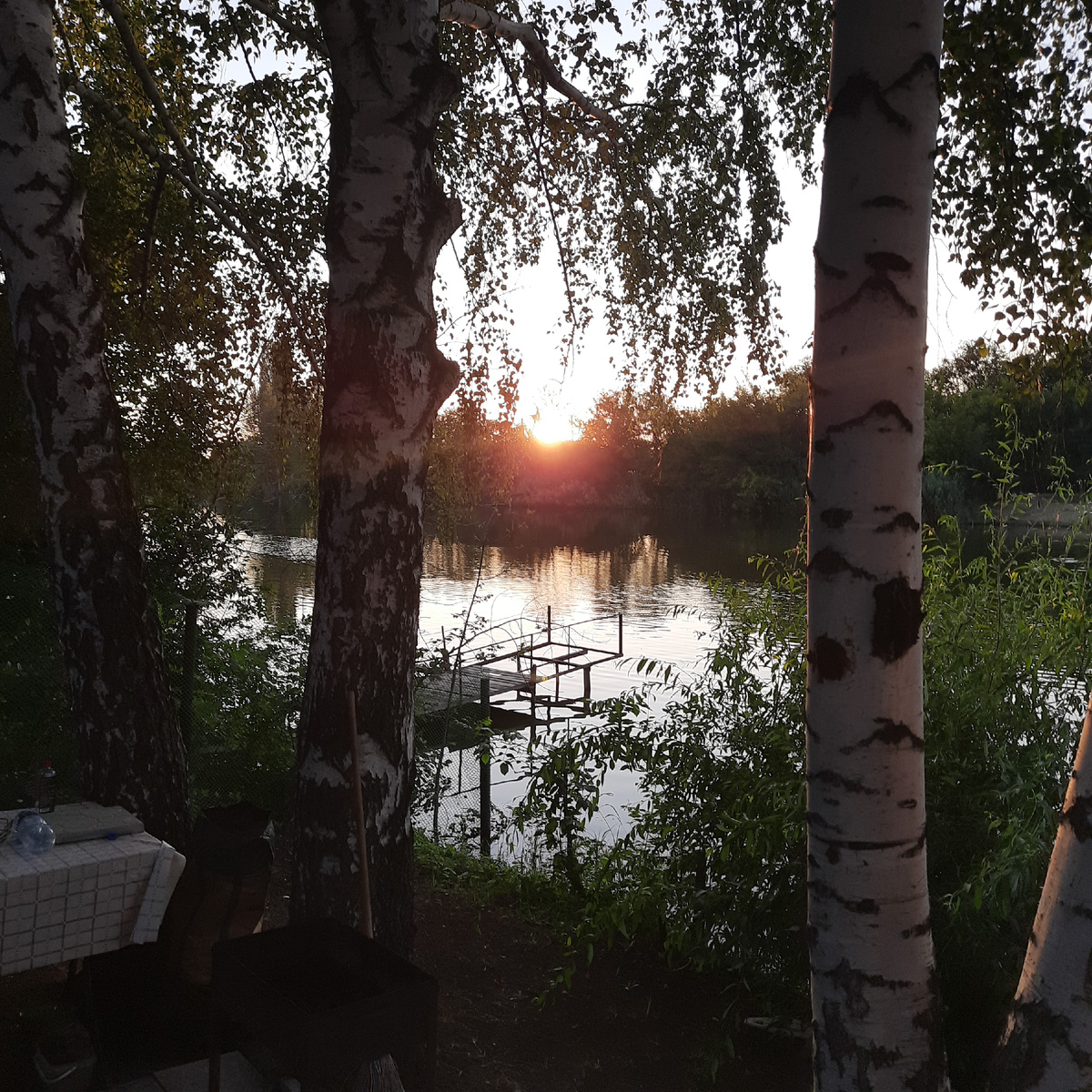 Это соседская дача, а мы за ними на 2 линии))