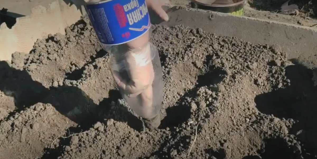    Придумала сажать чеснок бутылкой - получается в 2 раза быстрее и удобнее