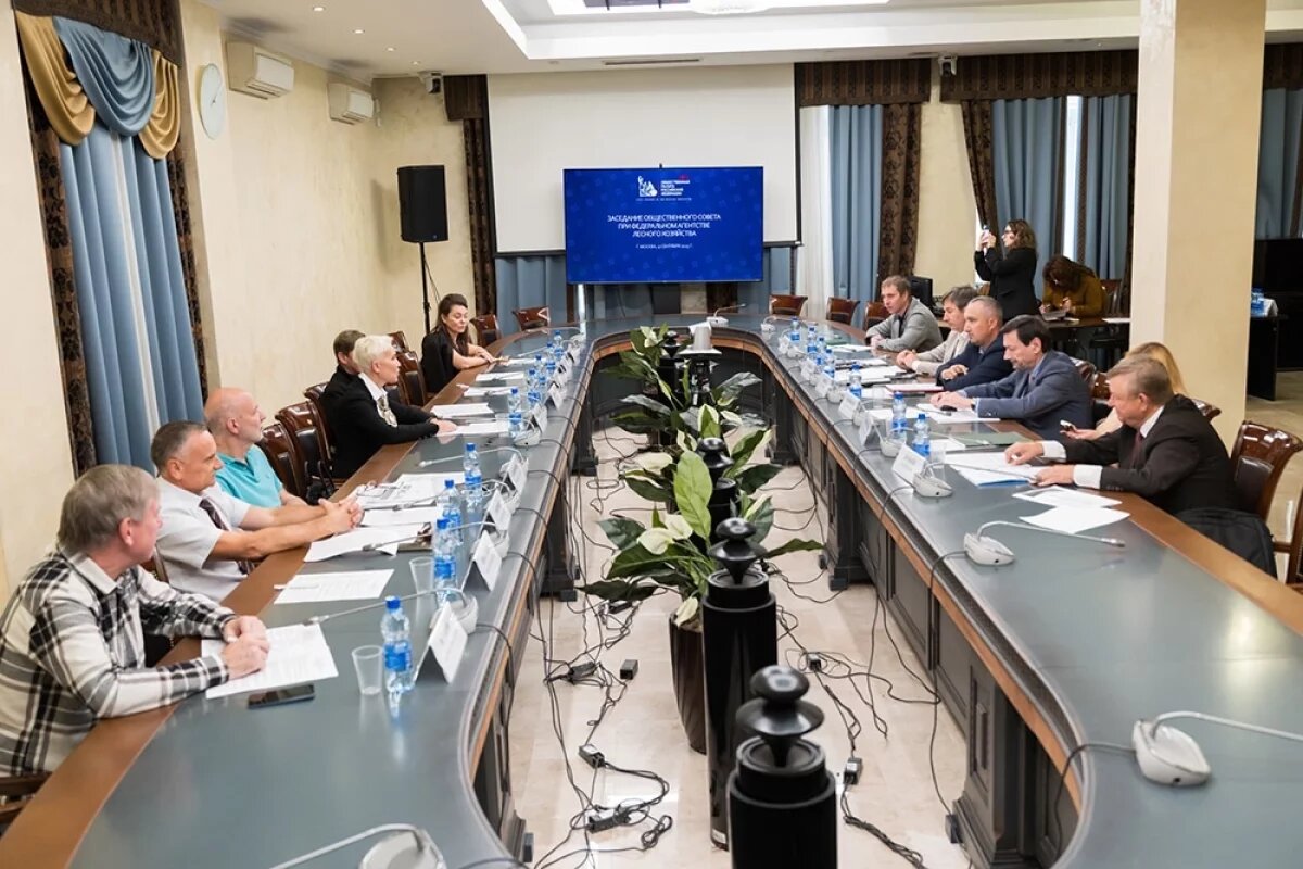    Заседание общественного совета при Федеральном агентстве лесного хозяйства.