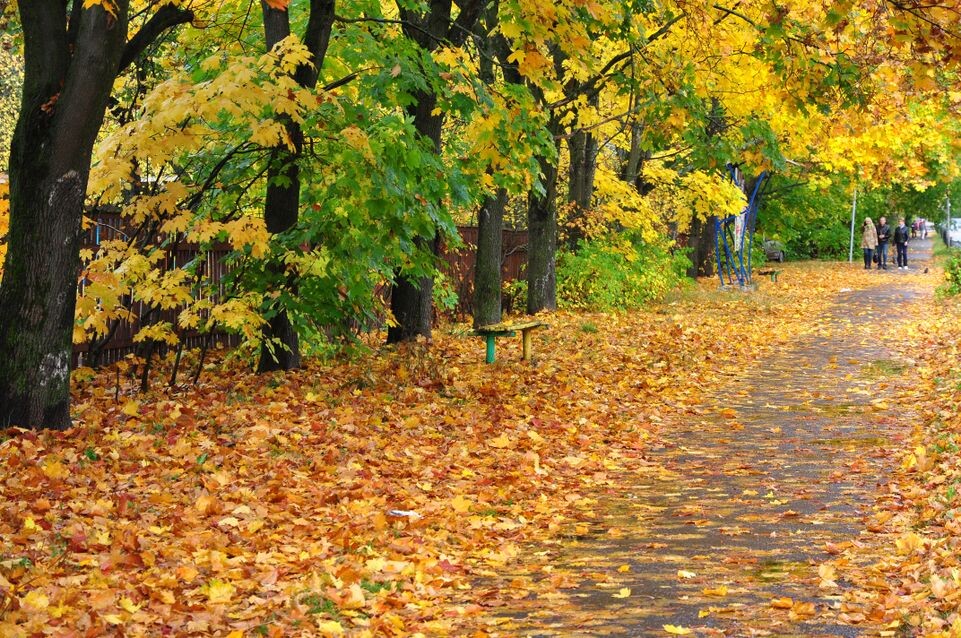    Улица Сахарова в Дубне / Медиасток.рф