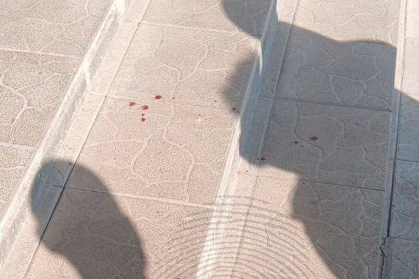    Фото: Инцидент-Новосибирск \ Telegram