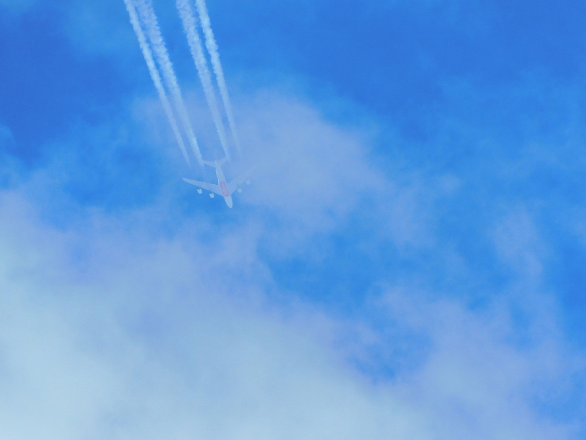    Слетала с подругой в Питер на два дня: зареклась, что больше не вернется никогда