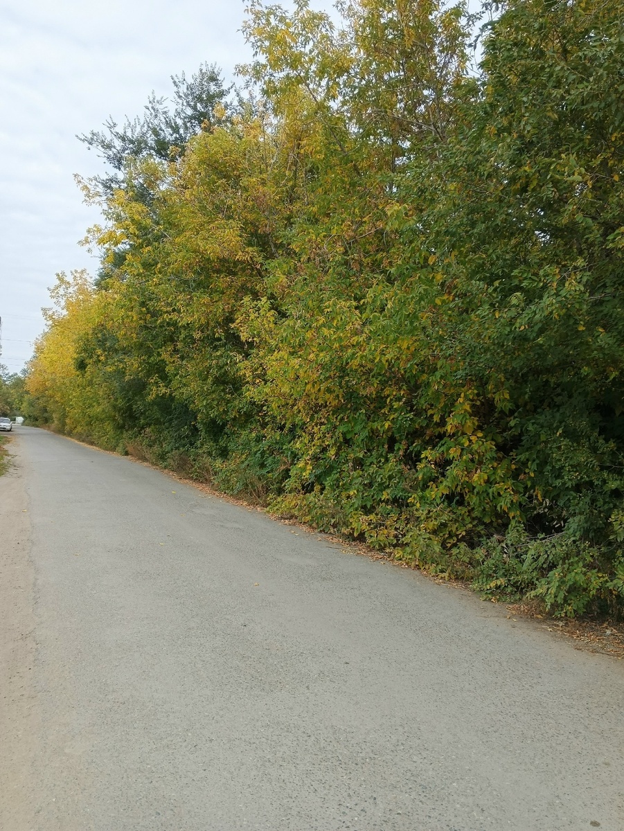 Дорога к даче