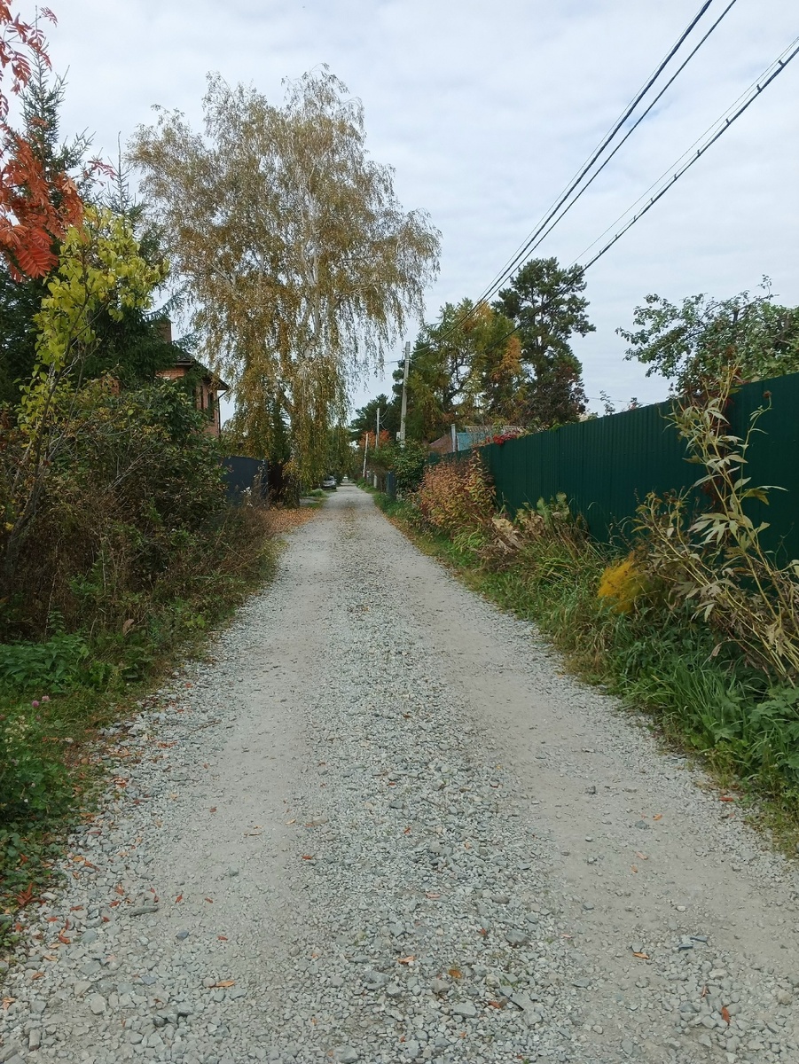 Аллея образца 19.09.2025