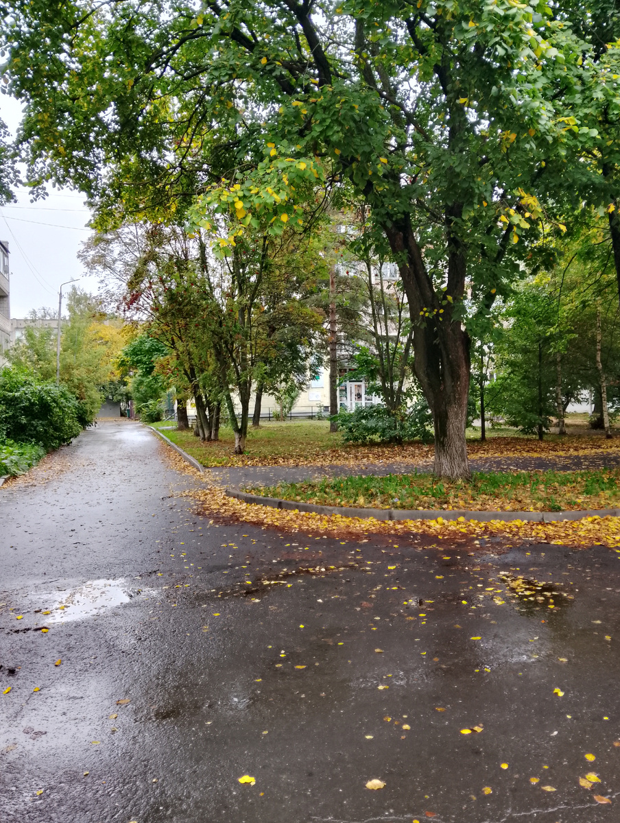 Утро воскресенья 21.09.2025, пустынно в 10.00,  фото автора 