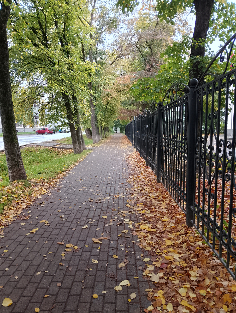 Если бы не сырость, то можно было бы идти и шуршать листьями. Фото автора 