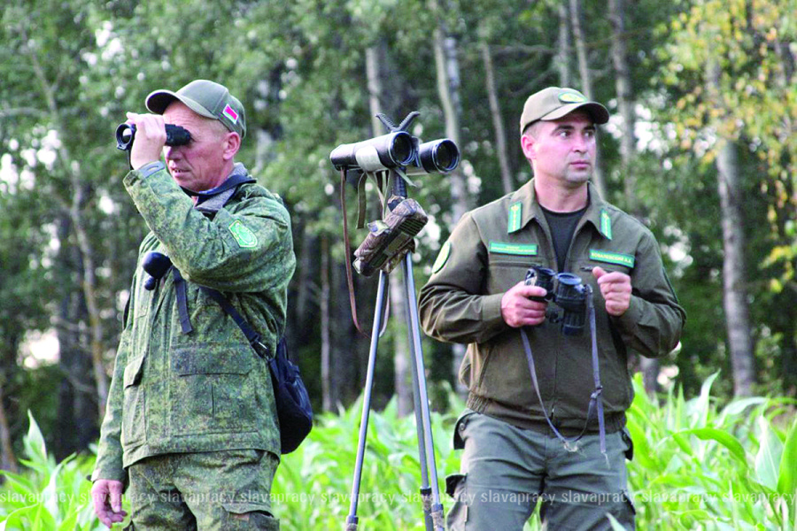     Копыльский опытный лесхоз: традиции, результаты и новые горизонты