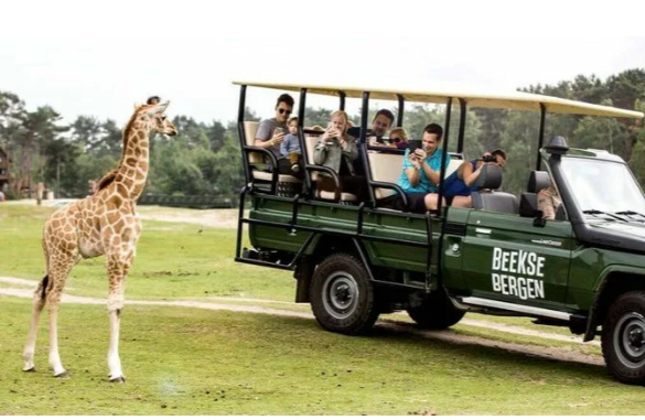 Дубай сафари парк