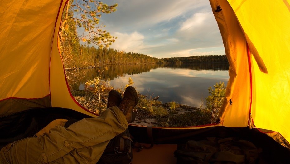    Автор фото: T.Vyc /Shutterstock/FOTODOM