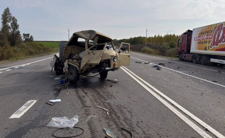    В Северном районе в ДТП погиб водитель «УАЗа» Оренбуржье