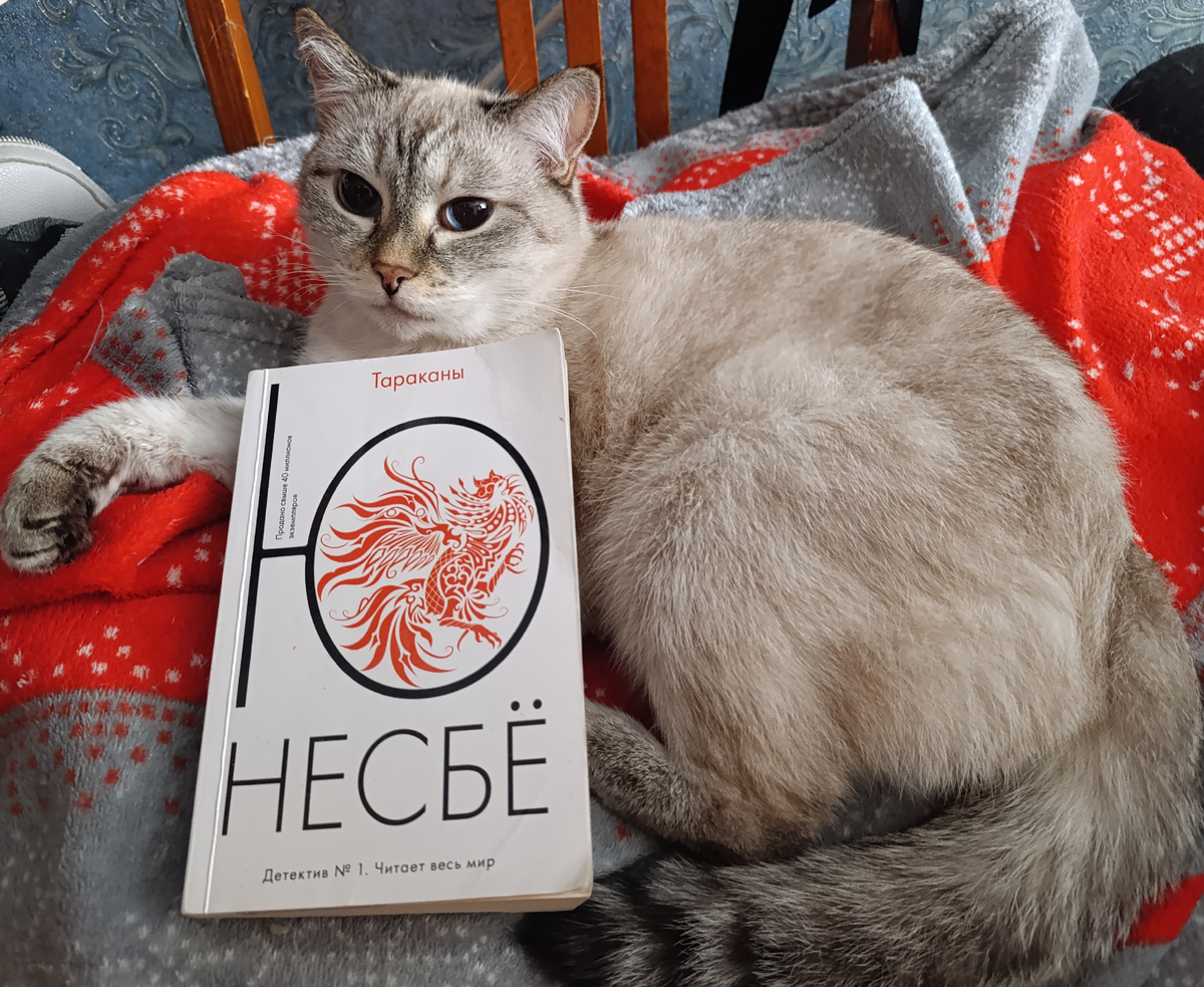 Сегодня читаемую книгу презентует Дженька. 