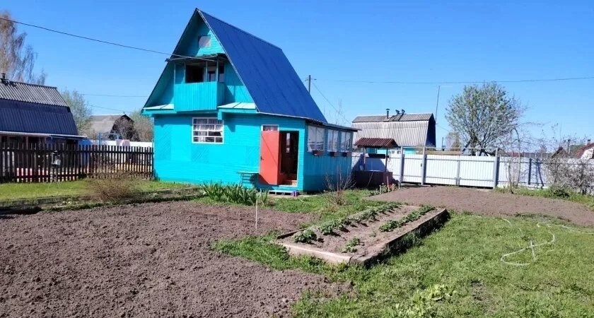    Забудьте горчицу и фацелию: этот сидерат сделает почву в разы рыхлее червей и плодороднее любых удобрений