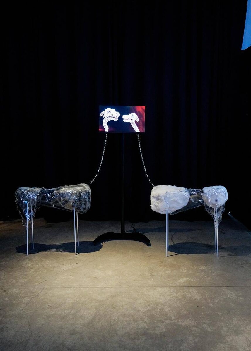 Инсталляция «Дива и Скиталец»