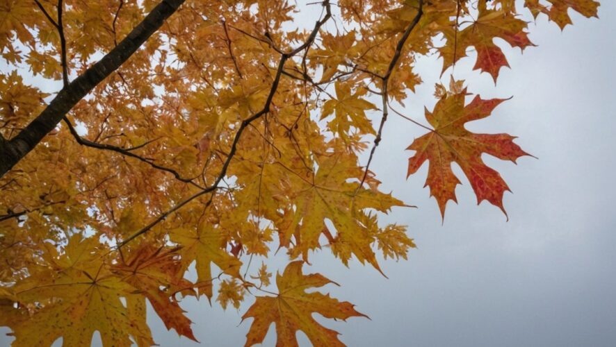    Фото: создано ИИ