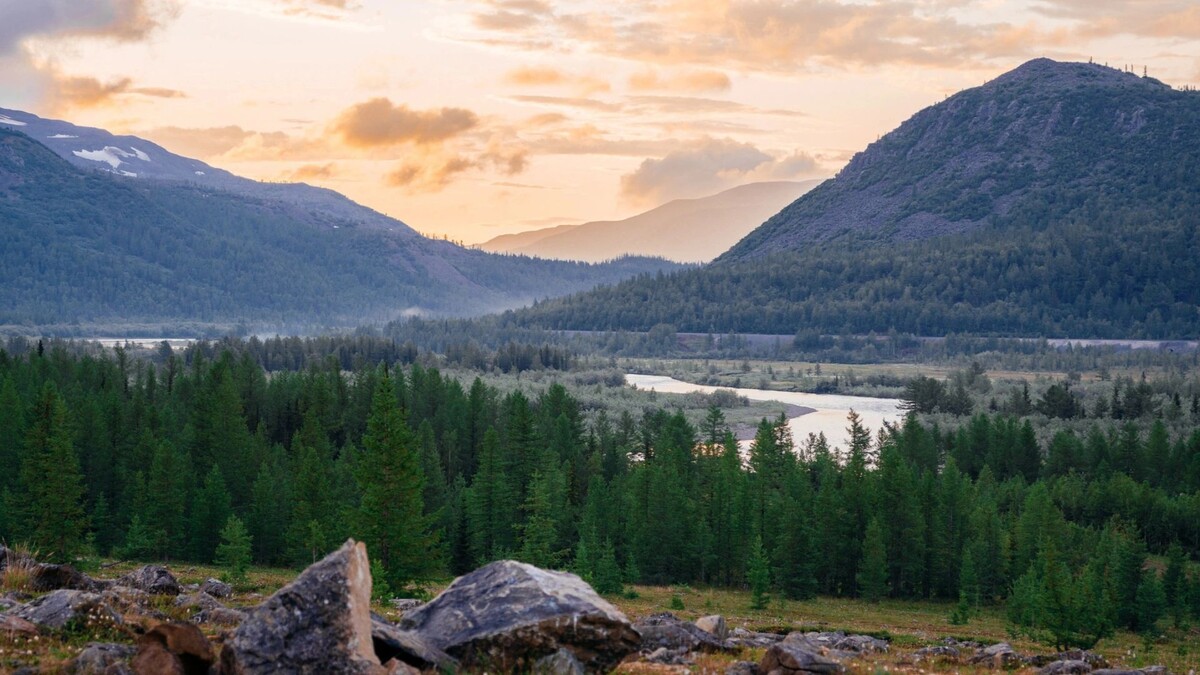    Фото: Юлия Чудинова/«Ямал-Медиа»