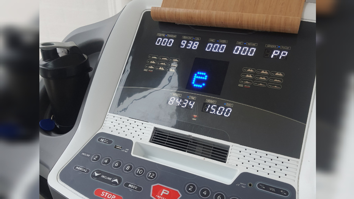 Собственно беговая дорожка. Фото из архива атора.