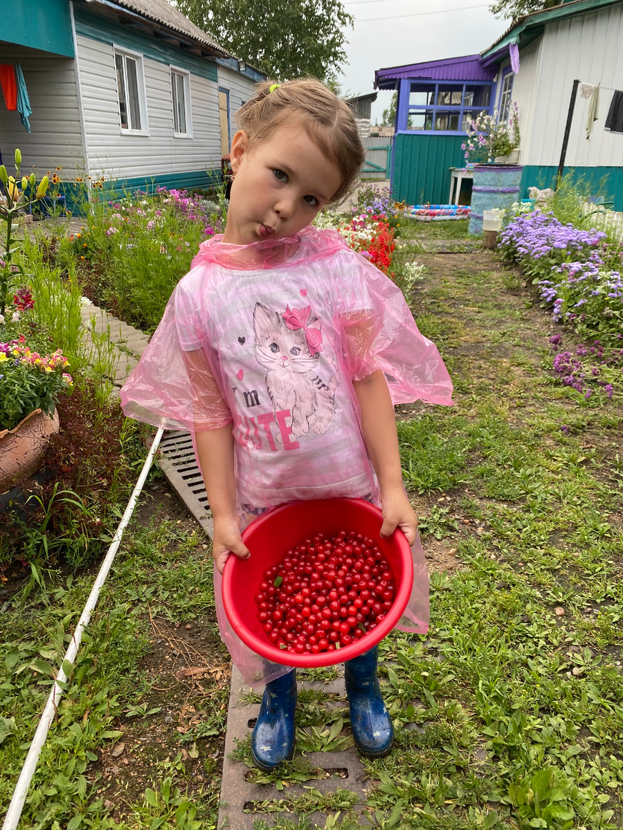 Вместе собирали вишню. 2020 г. Фото автора.