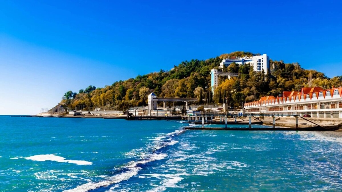    Фото: Newlander90/Shutterstock/Fotodom