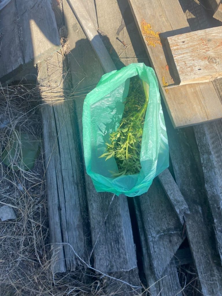 Фото пресс-службы ГУ МВД России по Ростовской области Газета Колос  📷
