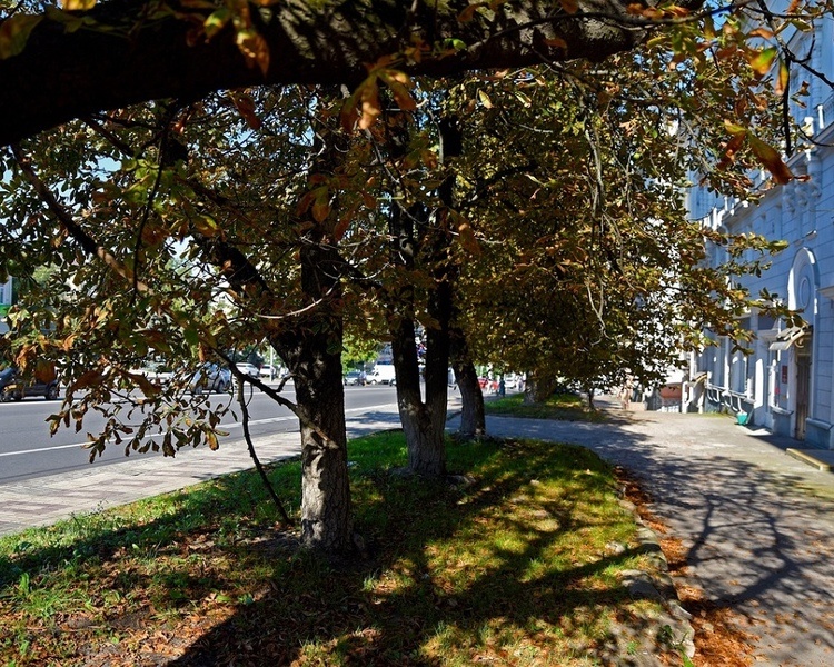     21 сентября в Курской области ожидается потепление