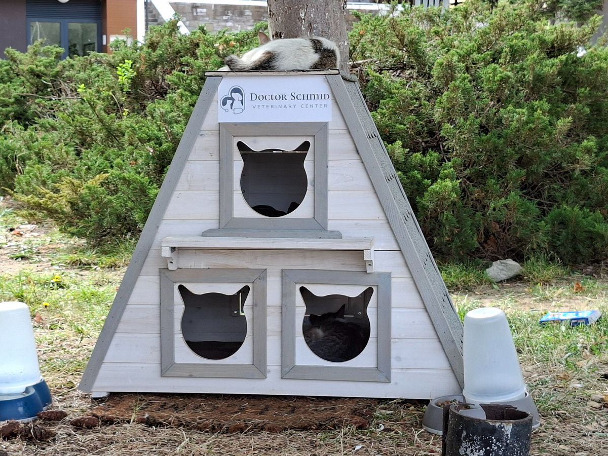 фото автора домики для котиков