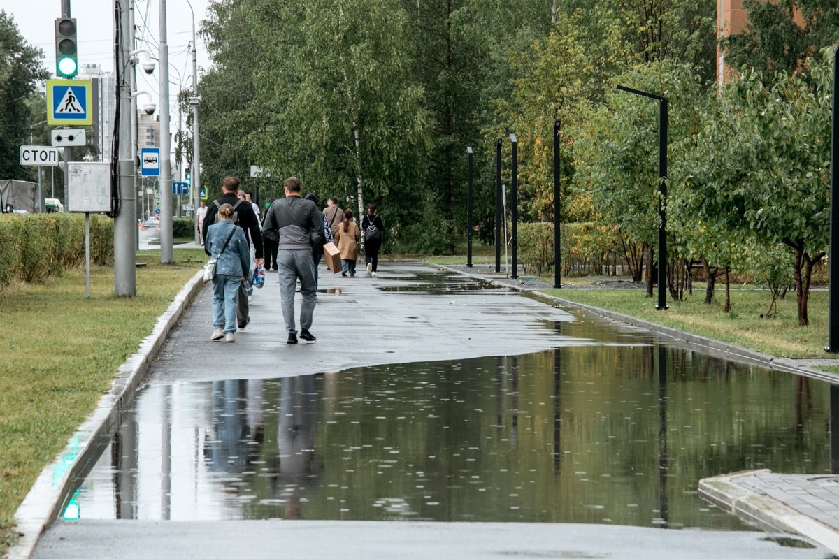    Гидрометцентр предсказывает дожди и туманы в Югре