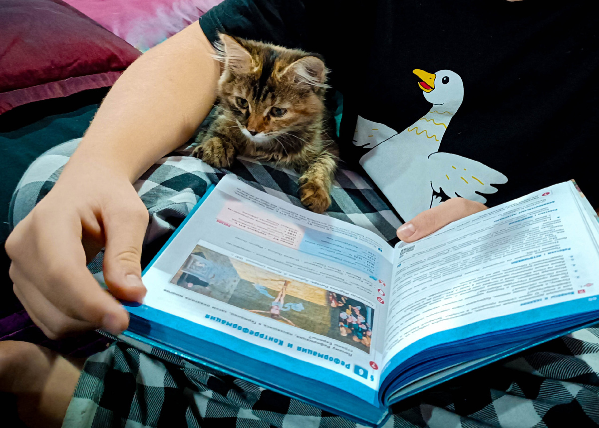 Как работать с синхронистическими таблицами, чтобы даже коту интересно стало?