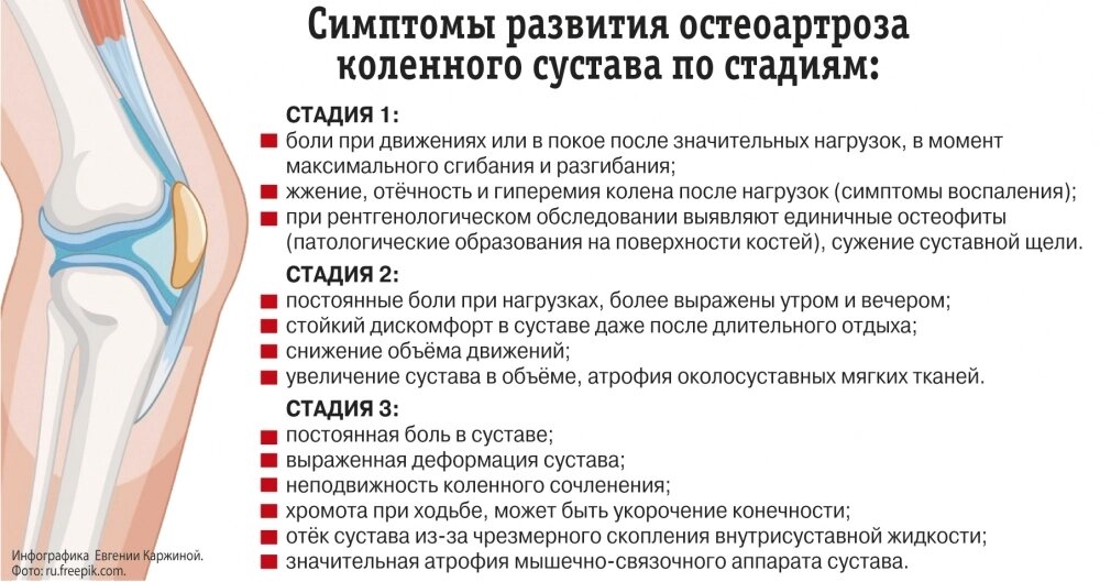    Фото: АиФ/ Евгения Каржина