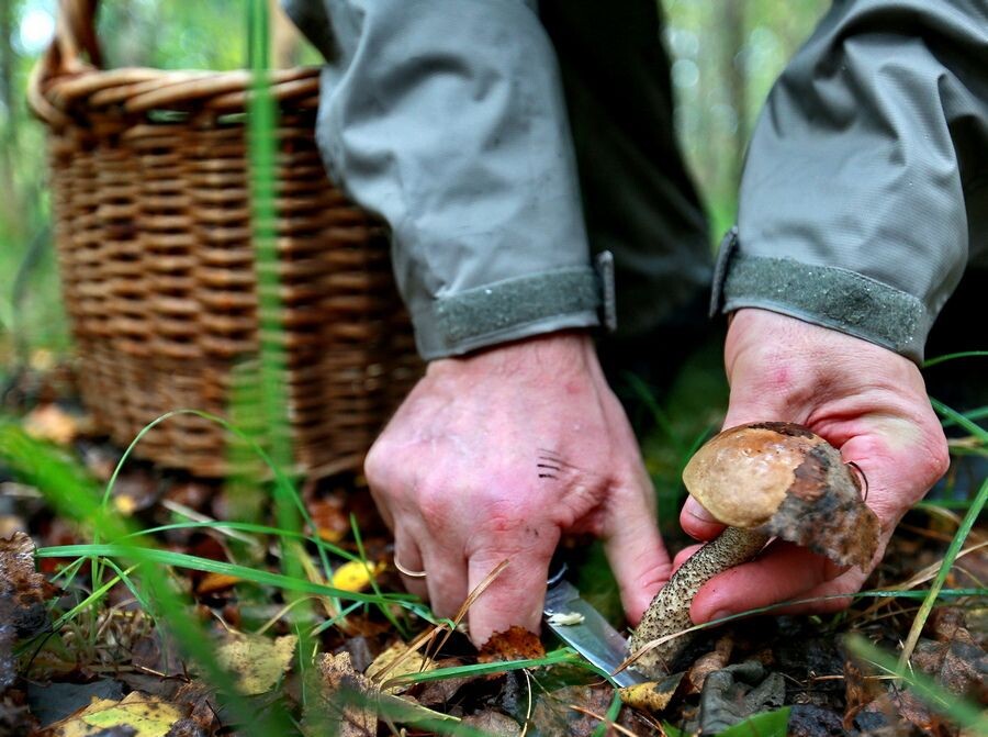     / Источник: © Владимир Смирнов/ТАСС