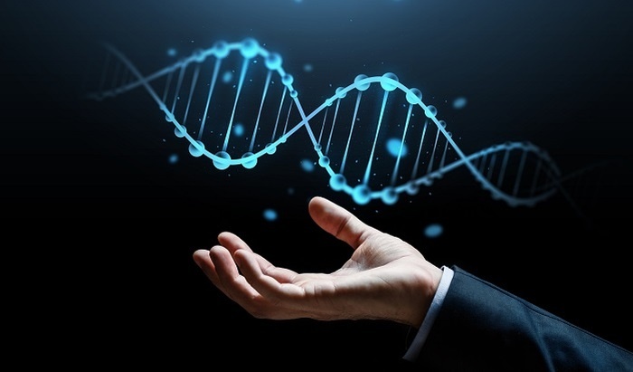    Учёные заявили, что человечество вступило в новый этап эволюции