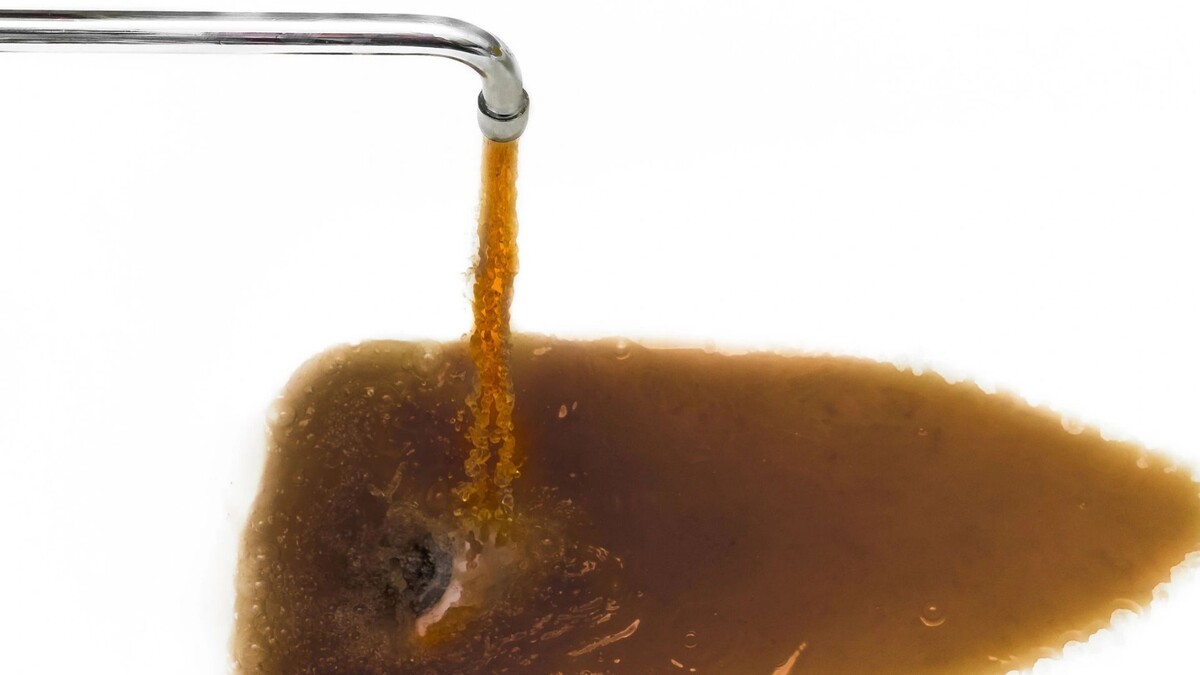    Фото: AYDO8/Shutterstock/Fotodom