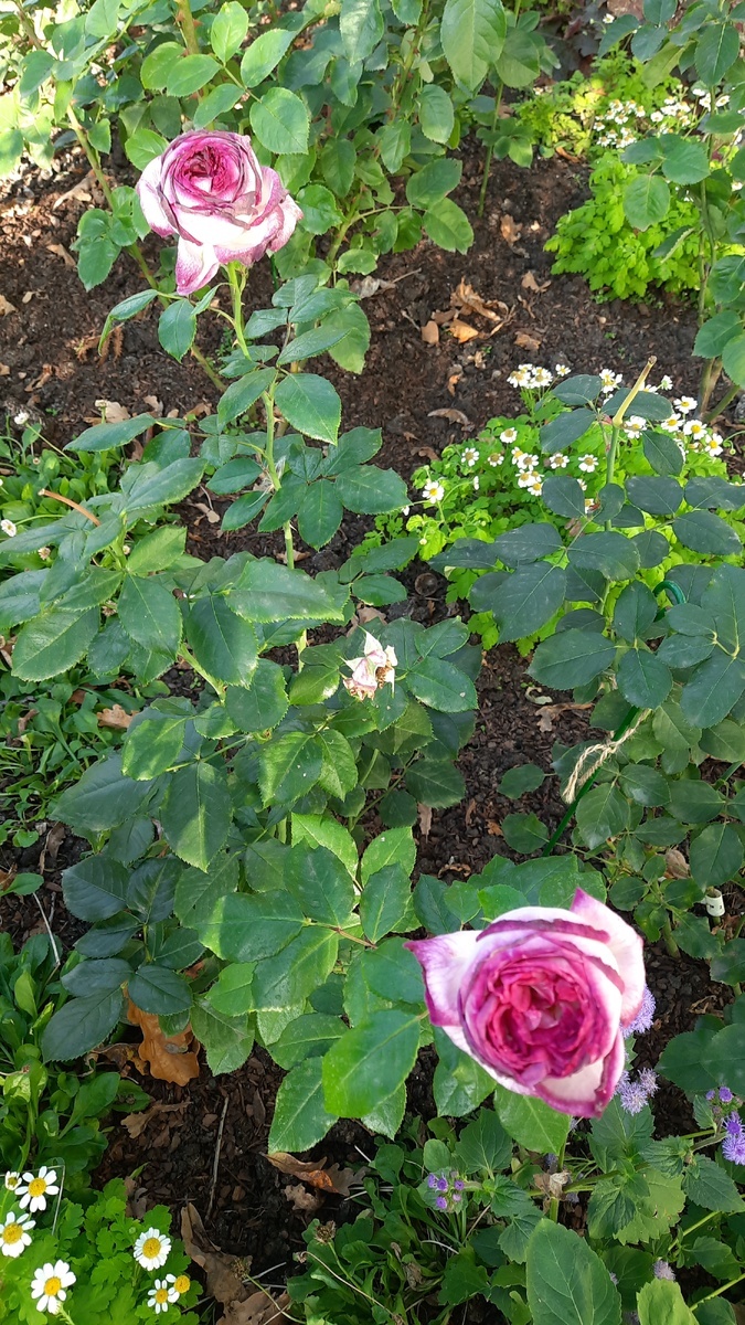 фото Татьяны