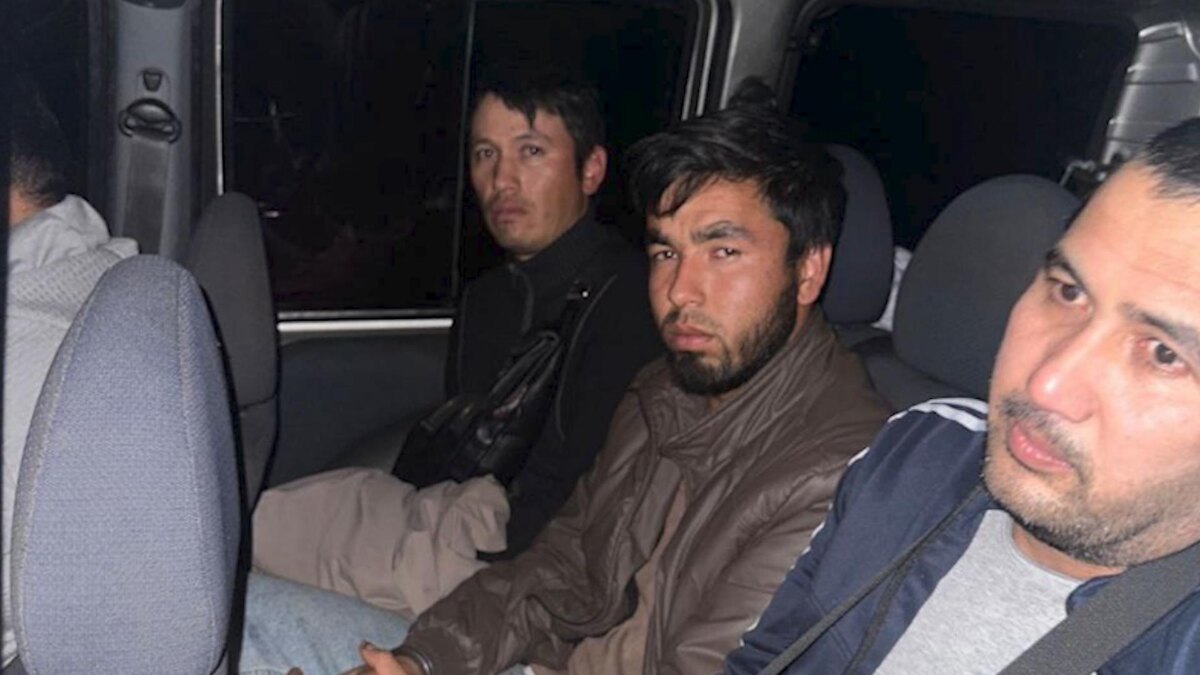    Фото: t.me/spb_police78