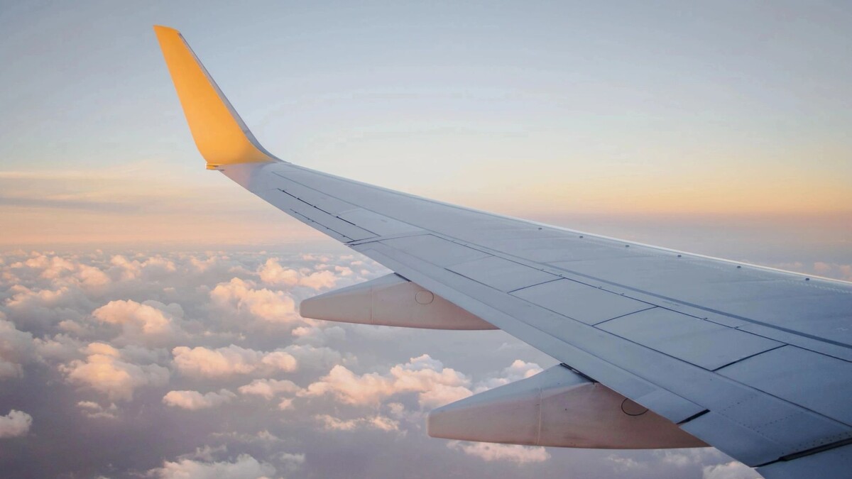    Фото: popcatter/Shutterstock/Fotodom