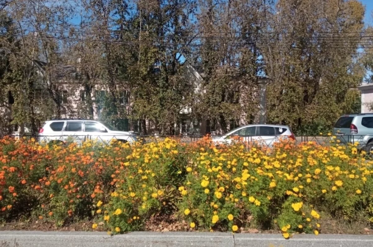    В Хабаровском крае 20 сентября в авариях погиб человек и пострадали восемь