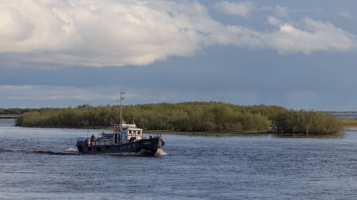    Фото: Федор Воронов / «Ямал-Медиа»