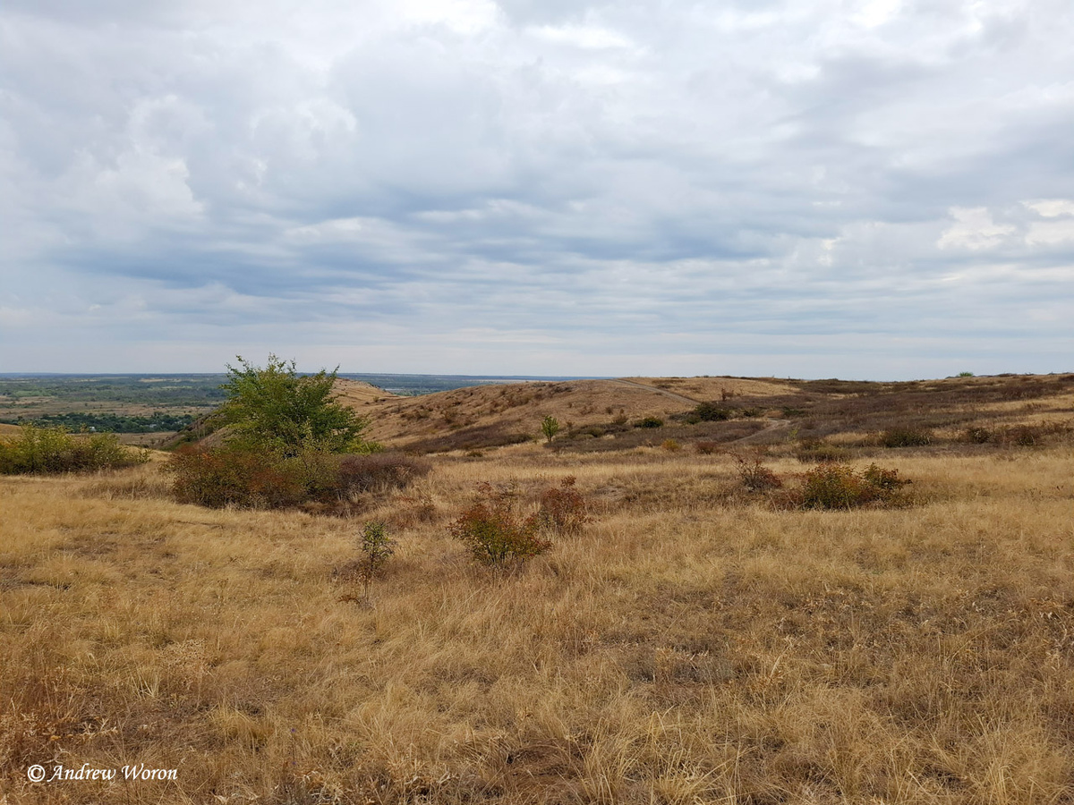Степь и горы за нею