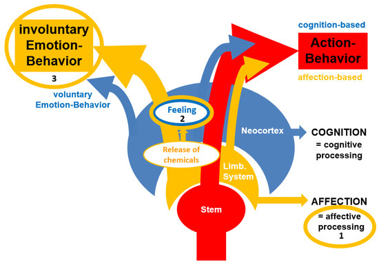 Рисунок 2. Эмоции передают эффекты аффективной обработки — модель (ESCAPE-модель) (или модель эмоций Уолла). Если вкратце, это означает, что (1) аффективная обработка направляет поведение, предоставляя оценочную информацию для принятия решений и совершения действий. (2) Сверхпороговая аффективная обработка приводит к высвобождению химических веществ (нейромедиаторов и гормонов), которые ощущаются организмом, способным к сознательному восприятию. (3) Непроизвольное эмоциональное поведение возникает для того, чтобы сообщить сородичам о своём состоянии.