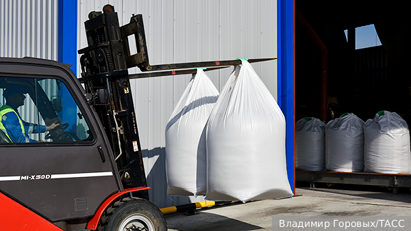     Фото: Владимир Горовых/ТАСС   
 Текст: Дмитрий Зубарев