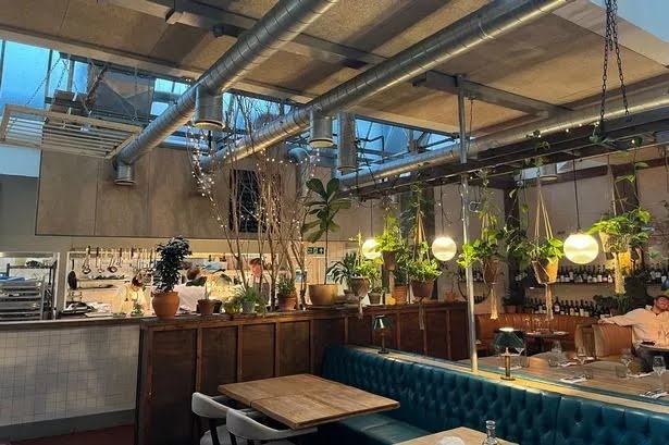 в ресторане курортного Бата Том провел платные уроки по готовке