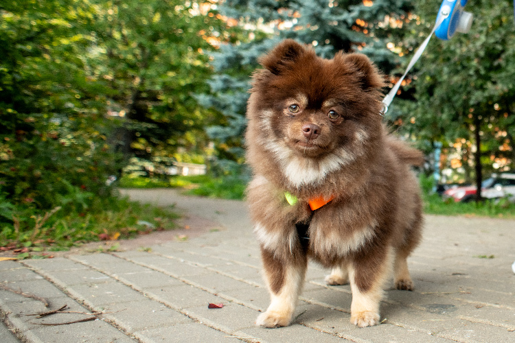 Фото: Юлия Федотова