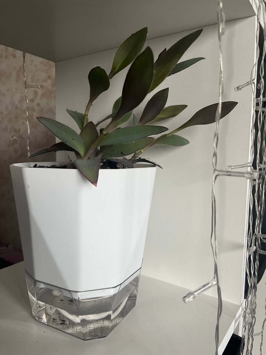 результат за неделю — 21 сентября